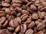 Kahvenin tarihi
